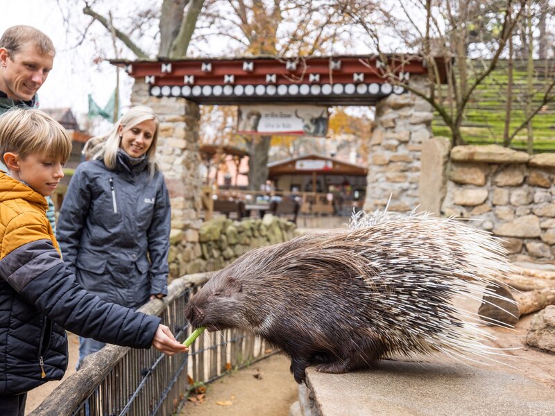 Abbildung Familienausflug Naturschutztierpark Goerlitz Zgorzelec