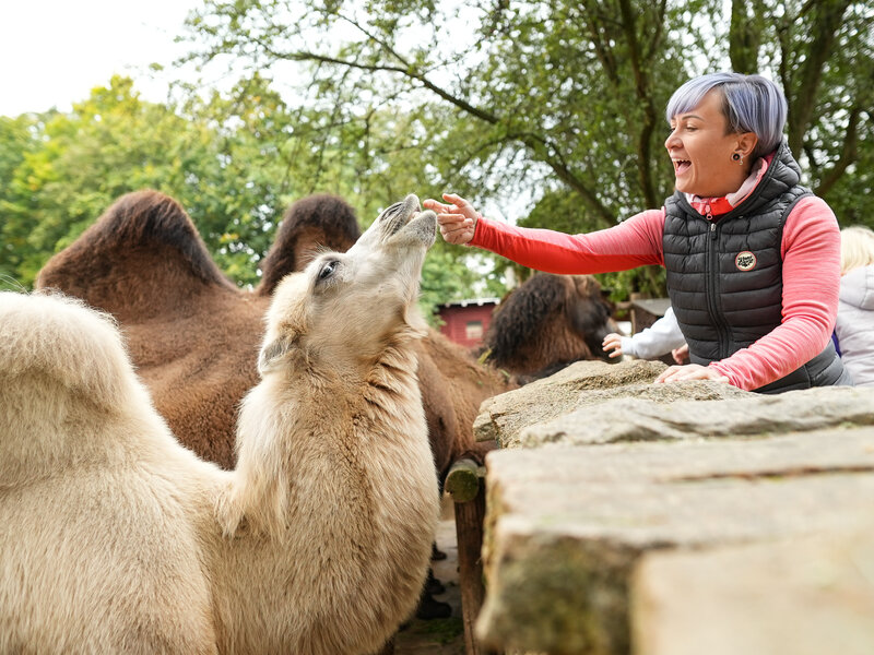 Zoo Goerlitz Abbildung Zoo Goerlitz