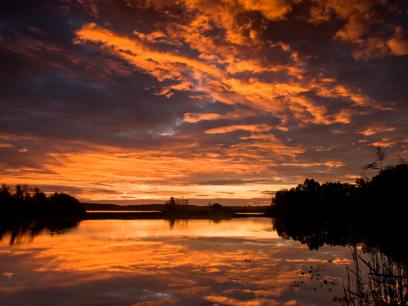 Sonnenuntergang Heide und Teichlandschaft Abbildung Sonnenuntergang Heide und Teichlandschaft