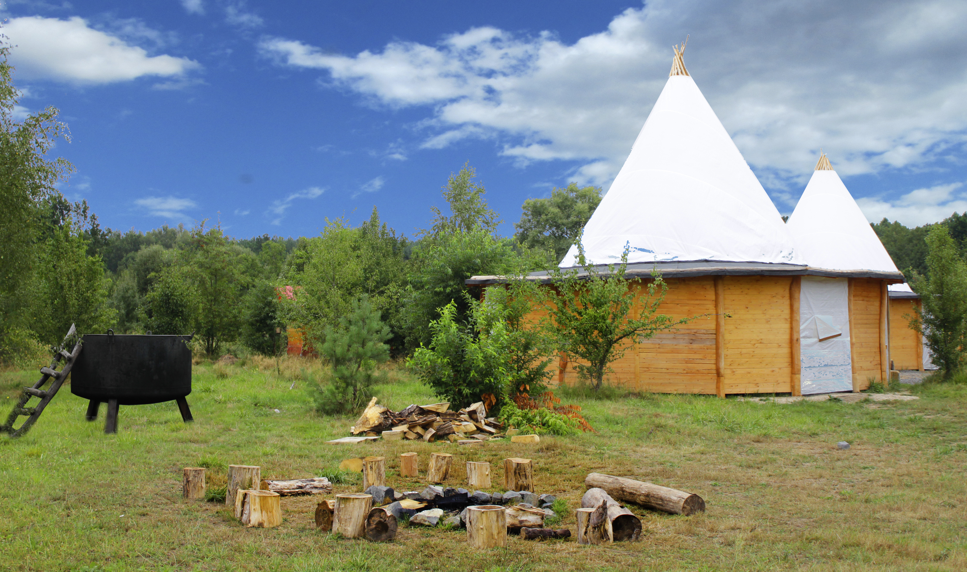 Tree house camp Abbildung Tree house camp